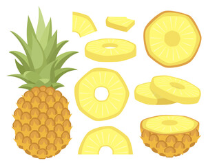 Vector isolated set of pineapples, whole, half and slices