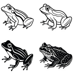 Isolated green amphibian with large eye on a white background