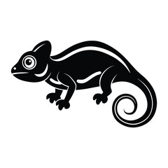 chameleon on a white background