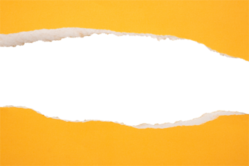 Yellow ripped paper torn edges strips isolated on white background