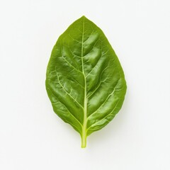 Obraz premium A fresh green lettuce leaf with a crisp texture and vibrant color, isolated white background, hyperrealism art style