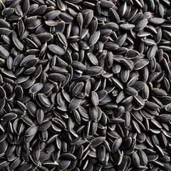 Black Sunflower Seeds Background