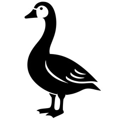 Silhouette of a swan
