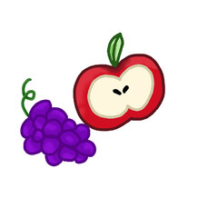 vector illustration of an apple