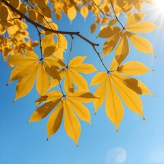 Golden Autumn Leaves Against Blue Sky