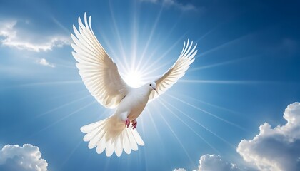 White Dove Soaring in Sunlit Sky