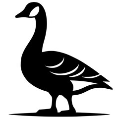 Silhouette of a swan