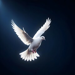 Obraz premium White Dove in Flight, Symbol of Peace