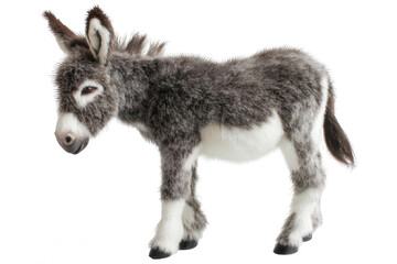Realistic Miniature Donkey Standing Side Pose Soft Fur Detail Transparent Background
