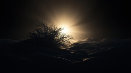 A lone tree stands in the middle of a vast, dark landscape, its silhouette stark against the light.
