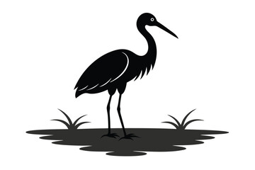 Ibis Bird Standing in Shallow Water Silhouette Vector