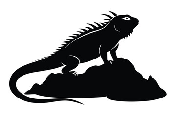 Iguana Basking on Rock Silhouette Vector
