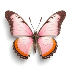 Obraz premium Pink Butterfly on White Background