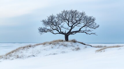 Fototapeta premium The raw beauty of a lifeless tree frozen in time against rolling dunes