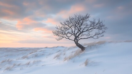 Fototapeta premium The raw beauty of a lifeless tree frozen in time against rolling dunes