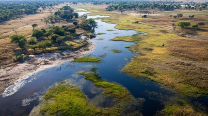 Naklejka premium How do drones help in mapping and monitoring the effects of climate change?