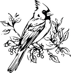 Cardinal Bird Pair Couple Mating Season Red Breeding