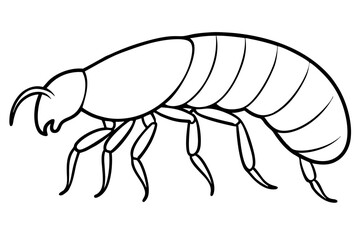 High-quality vector illustration of various insects, ideal for scientific, educational, and design purposes. This detailed and scalable artwork features common insect species such as mosquitoes, flies