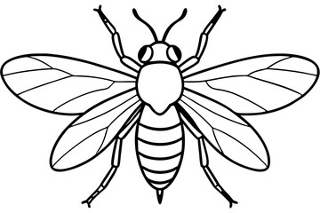 High-quality vector illustration of various insects, ideal for scientific, educational, and design purposes. This detailed and scalable artwork features common insect species such as mosquitoes, flies