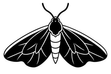 High-quality vector illustration of various insects, ideal for scientific, educational, and design purposes. This detailed and scalable artwork features common insect species such as mosquitoes, flies