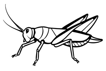 Discover a high-quality Insect Vector illustration, perfect for adding a natural, detailed touch to your designs. This vector graphic features a variety of insects, ideal for nature-themed projects, e
