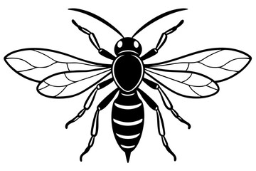 Discover a high-quality Insect Vector illustration, perfect for adding a natural, detailed touch to your designs. This vector graphic features a variety of insects, ideal for nature-themed projects, e
