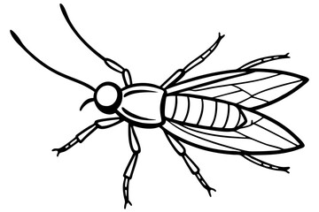 Discover a high-quality Insect Vector illustration, perfect for adding a natural, detailed touch to your designs. This vector graphic features a variety of insects, ideal for nature-themed projects, e