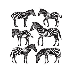 Fototapeta premium vector illustration of twelve zebra silhouettes in various poses, detailed striped wild animal artwork for nature, safari, and wildlife themed designs