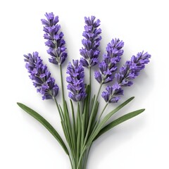Obraz premium Lavender Flowers Bouquet, Top View