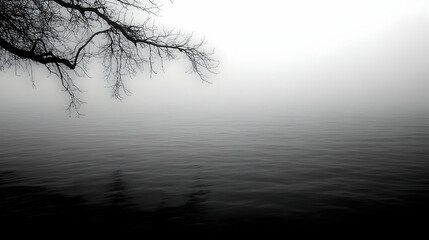 Obraz premium A serene, misty lake scene with a bare branch.