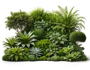 Lush Green Tropical Garden Arrangement