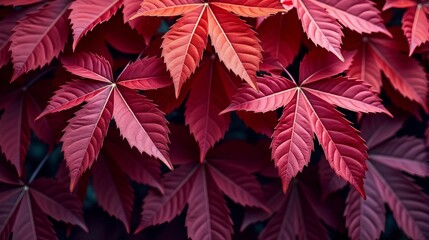 Intricate Close-up of Lush Crimson Foliage Displaying Vibrant Red Botanical Detail