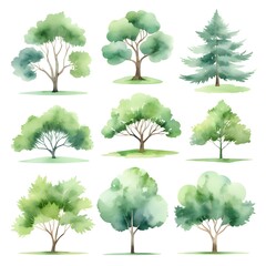 Watercolor Collection of Green Trees