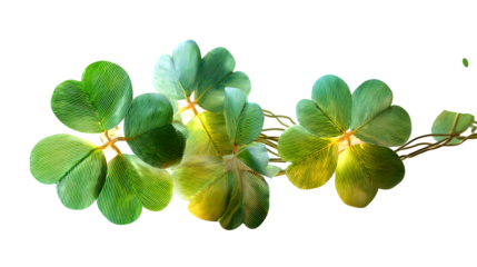 Shamrock LED lights for St. Patrick?s Day, glowing green, photorealistic style, white background