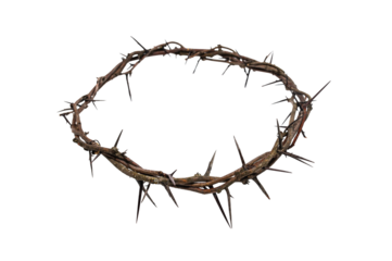 Jesus Crown of thorns casting a distinct shadow on a for Christian, Easter concept, creating a symbolic image of suffering and remembrance good friday cutout isolated on a transparent background