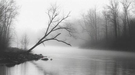 A foggy riverside scene depicts a bare tree near the water