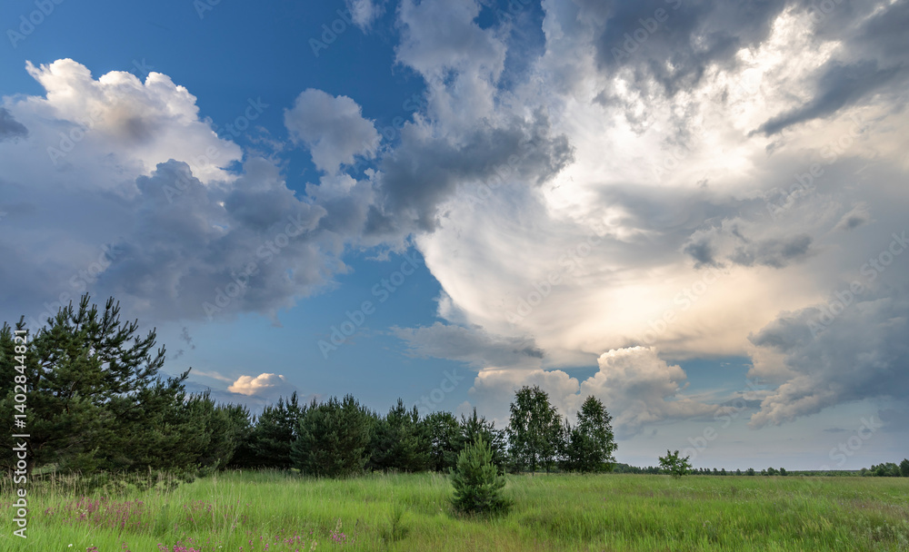 Wall mural a cloudy sky with a tree in the middle of a field