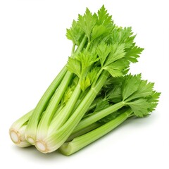Fresh green celery stalks stacked on white background