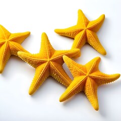 Three Golden Starfish on White Background