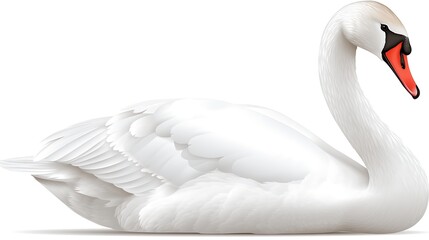 Fototapeta premium Swan Profile on White