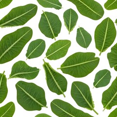 Fototapeta premium Green Leaves Seamless Pattern