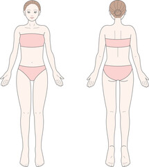 正面と背面から見た女性の身体