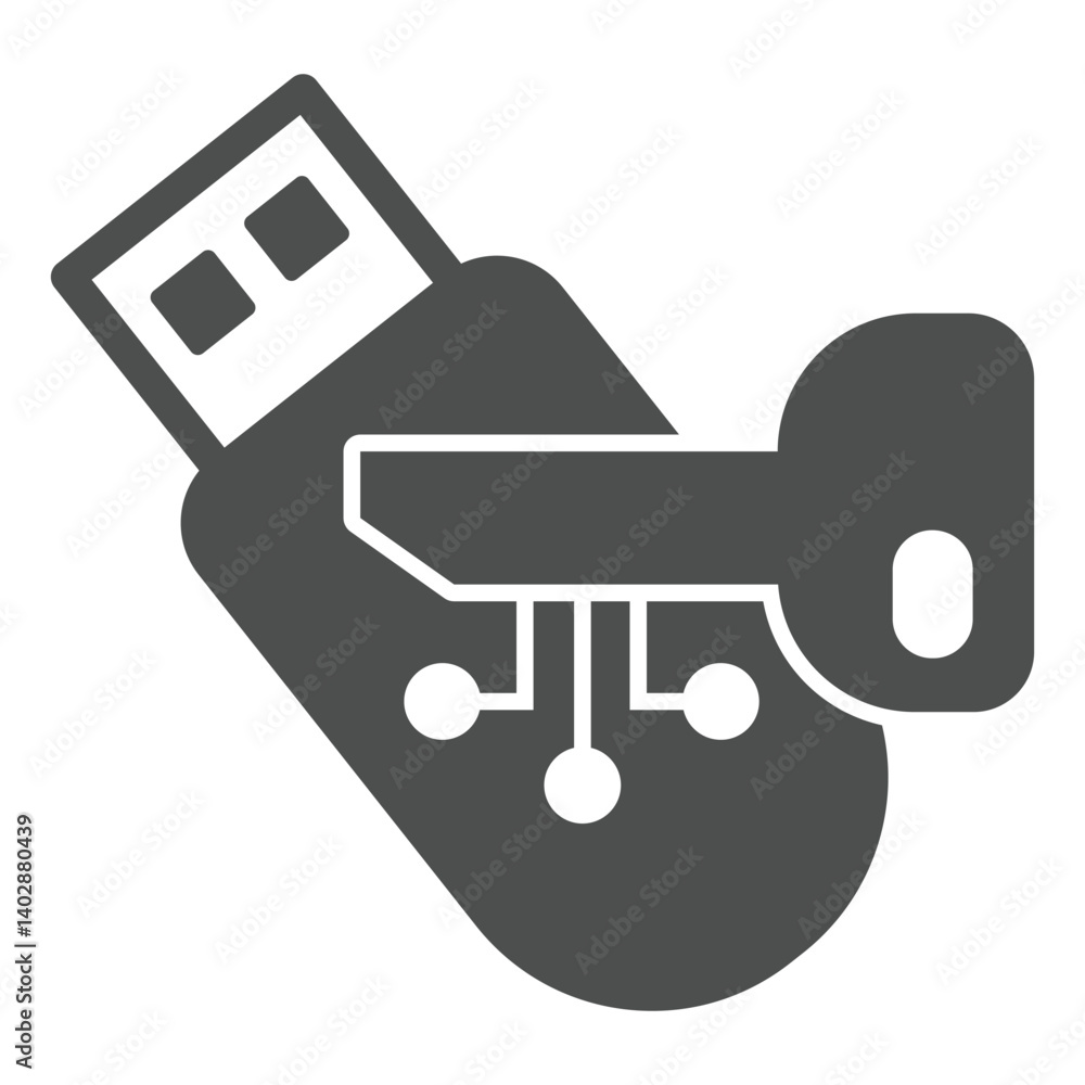 Poster key and flash drive solid icon, secure network concept. vector graphics. encrypted system access key