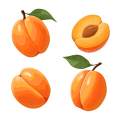 Apricot. Set of apricots isolated on white background. Whole apricot with leaves, cut in half.