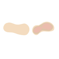 Peanuts vector illustration 