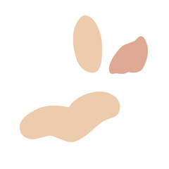 Peanuts vector illustration 