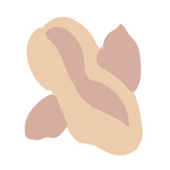 Peanuts vector illustration 