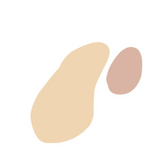 Peanuts vector illustration 