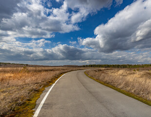 A road with a few trees in the background and a cloudy sky