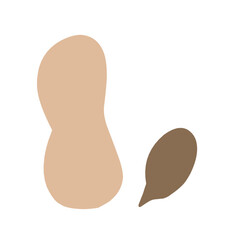 Peanuts vector illustration 